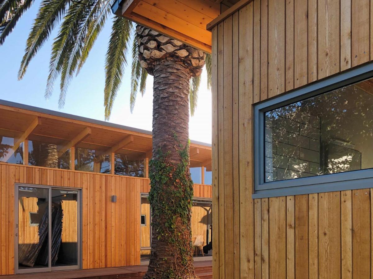 Palm And Pine Cottage Cape Town Bagian luar foto